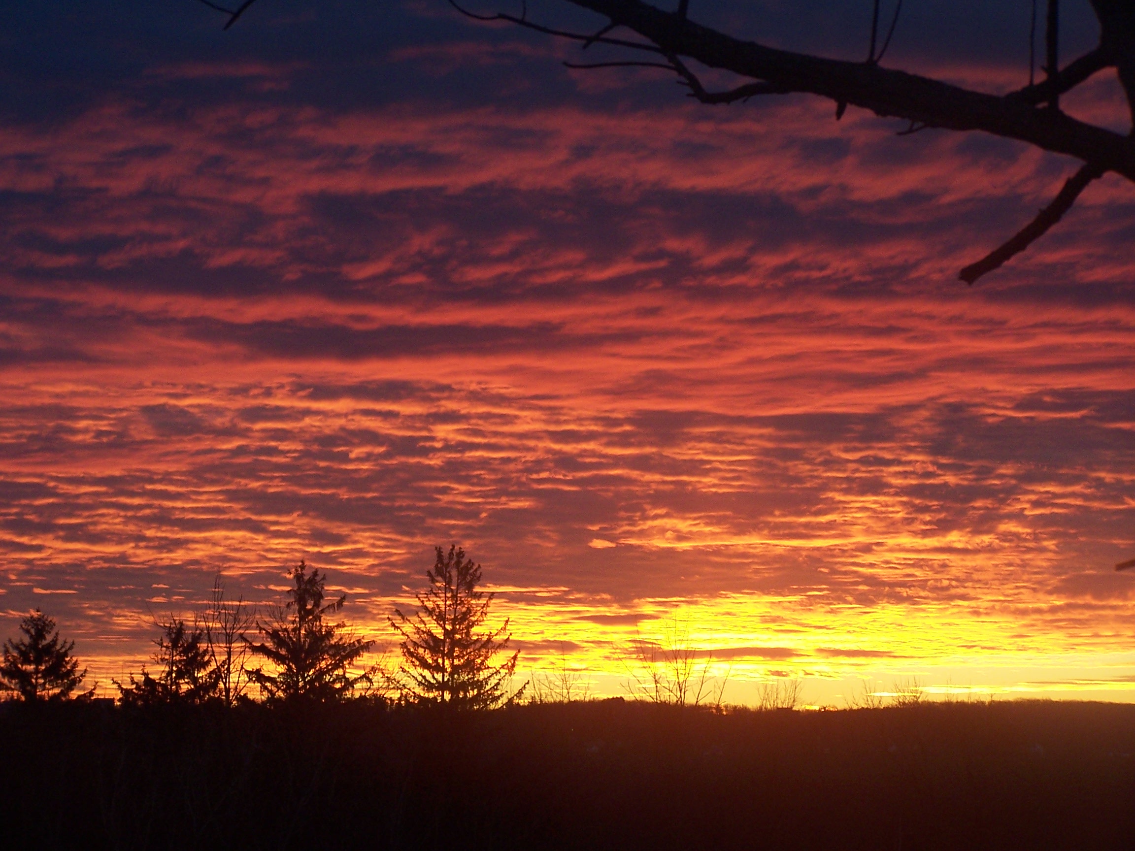 David A. Luzi, Realtor Image